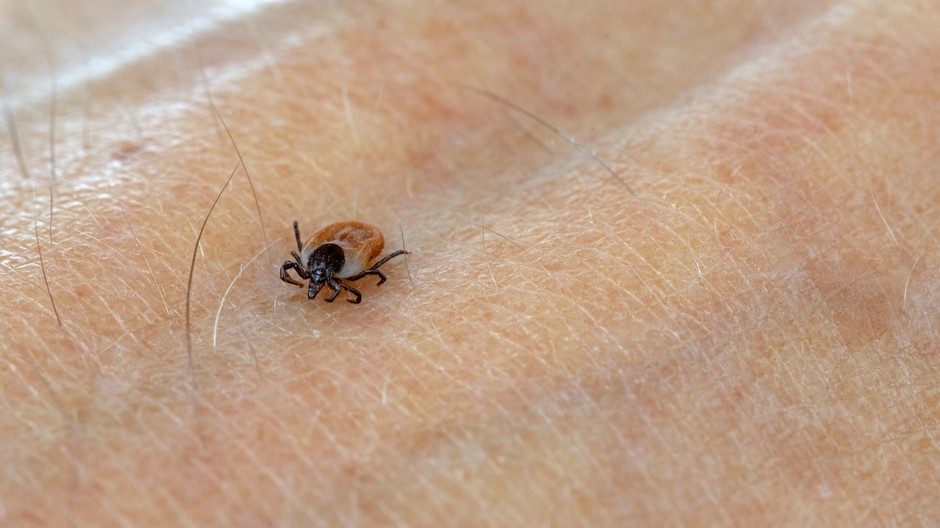 GettyImages-1477782953