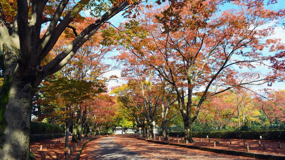 jeseň - ilustračné foto