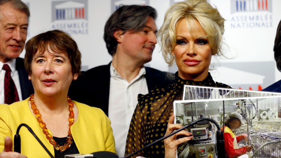 pamela anderson, parlament