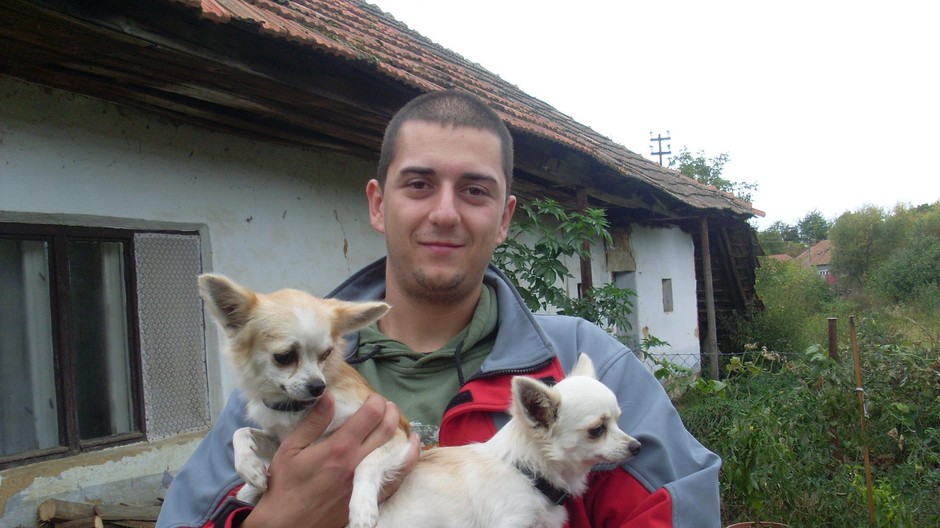 12.10 2011 podvečer v Bratislave Petržalka na ulici Gercenová sa vyšmykla z obojku fenka čivavy .Volá sa Bendži a má 2 roky .Je svetlo hnedej farby stihlučká , vyššia ako obvykle bývajú čivavy .Bendži bola ráno adoptovaná do nového domova z útulku stanica