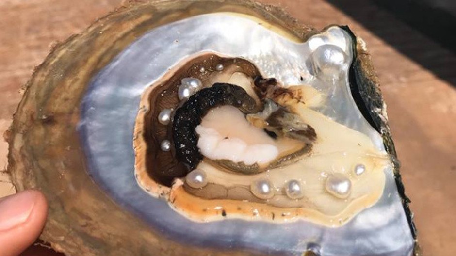 Lastúra s 10 perlami 