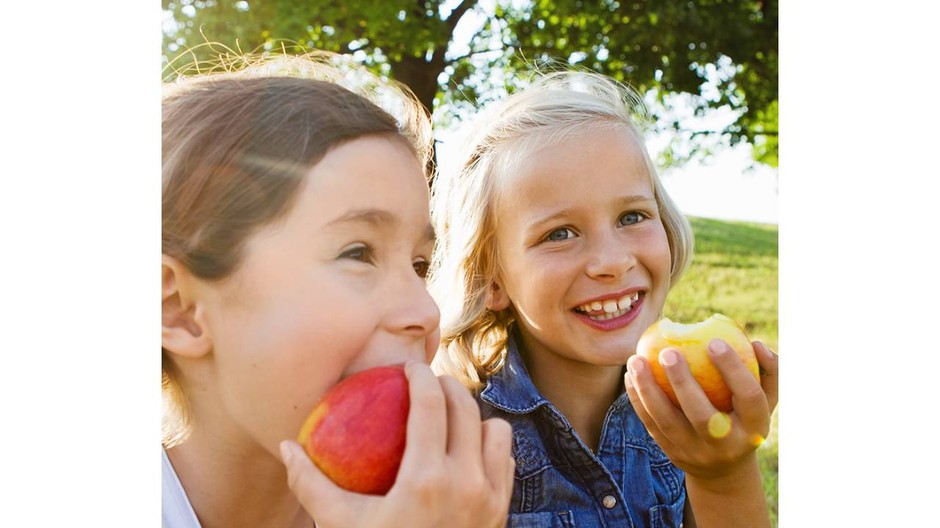 Nový projekt (1) (2)