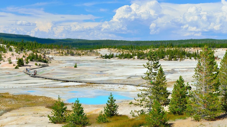 Yellowstone, park