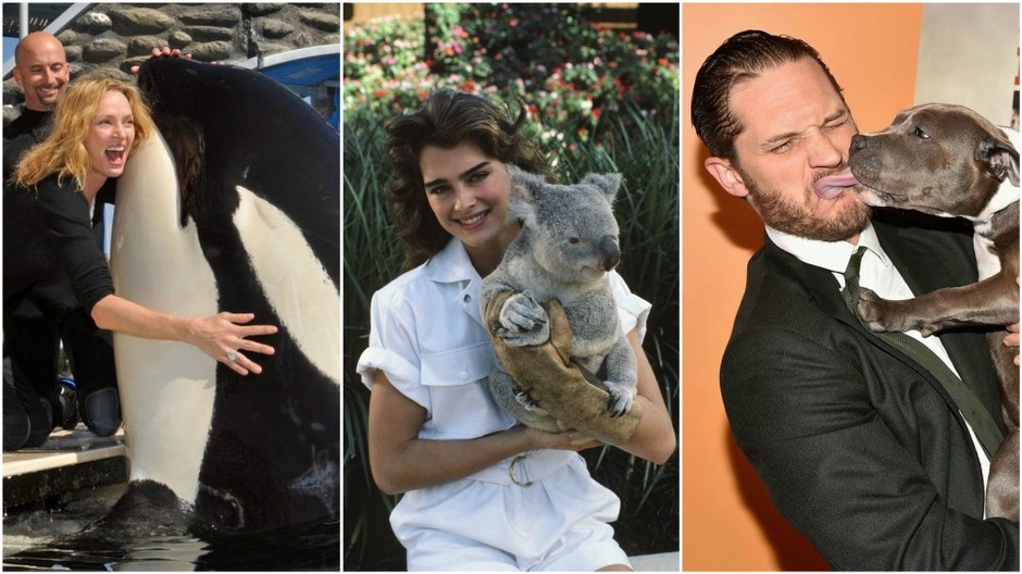 Celebrity a zvieratá