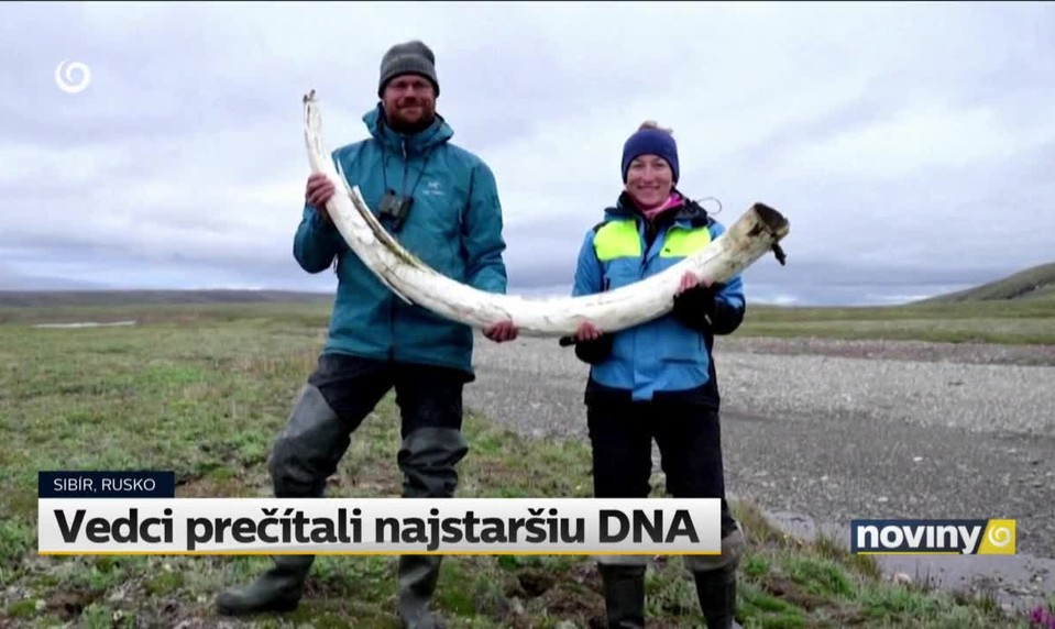 Vedci prečítali najstaršiu DNA