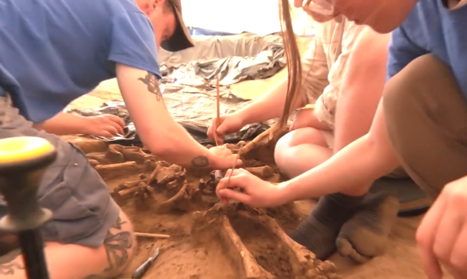 Tajomstvo 7000 rokov starej osady pri Vrábľoch: Archeológovia objavili viac než 100 tiel bez hláv
