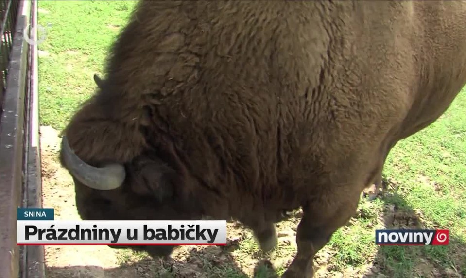 Prázdniny u babičky