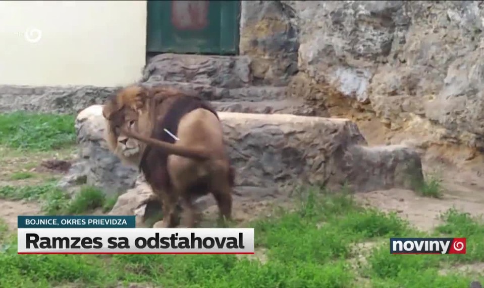 Ramzes sa odsťahoval