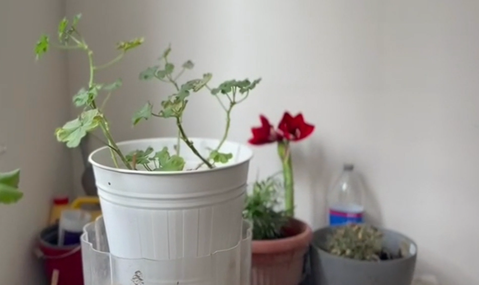 Oheň pod lupou: Preplnené chodby v panelákoch môžu stáť život. Čo nesmie byť na únikovej ceste?