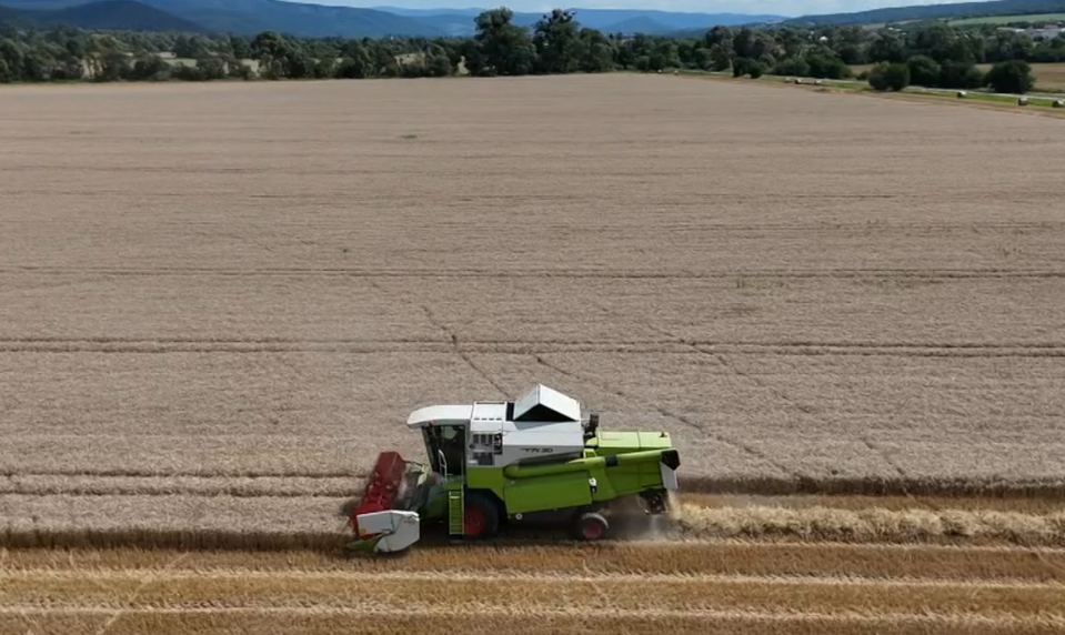 Počasie trápi farmárov: Dažde brzdia kombajny a obilie stráca kvalitu