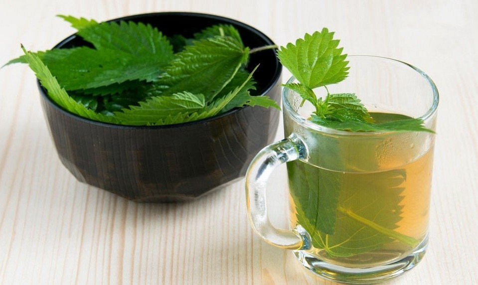 Žihľava je kráľovnou medzi jarnými bylinkami: Aké má účinky?