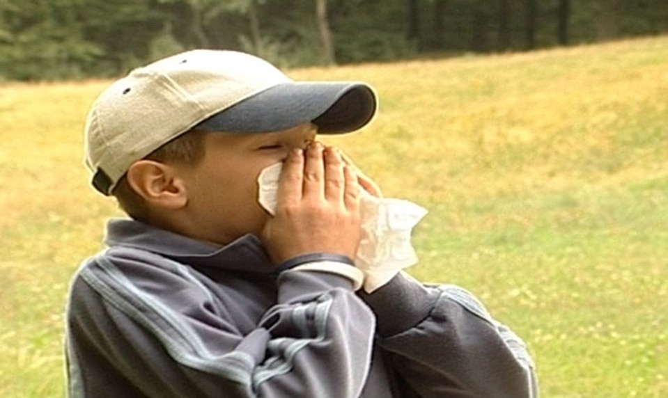 Trápi vás senná nádcha ? Toto by ste o nej mali vedieť!