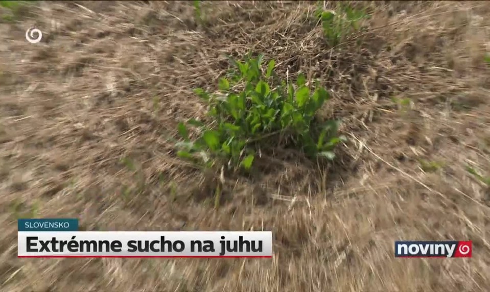 Extrémne sucho na juhu