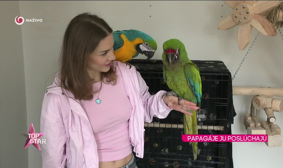 PAPAGÁJE JU POSLÚCHAJÚ