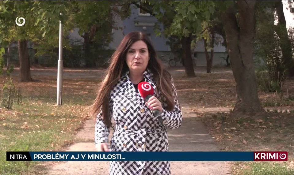 PROBLÉMY AJ V MINULOSTI...