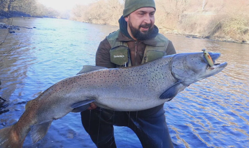 Poznáte sen každého rybára? V slovenských vodách hľadajú kráľovnú