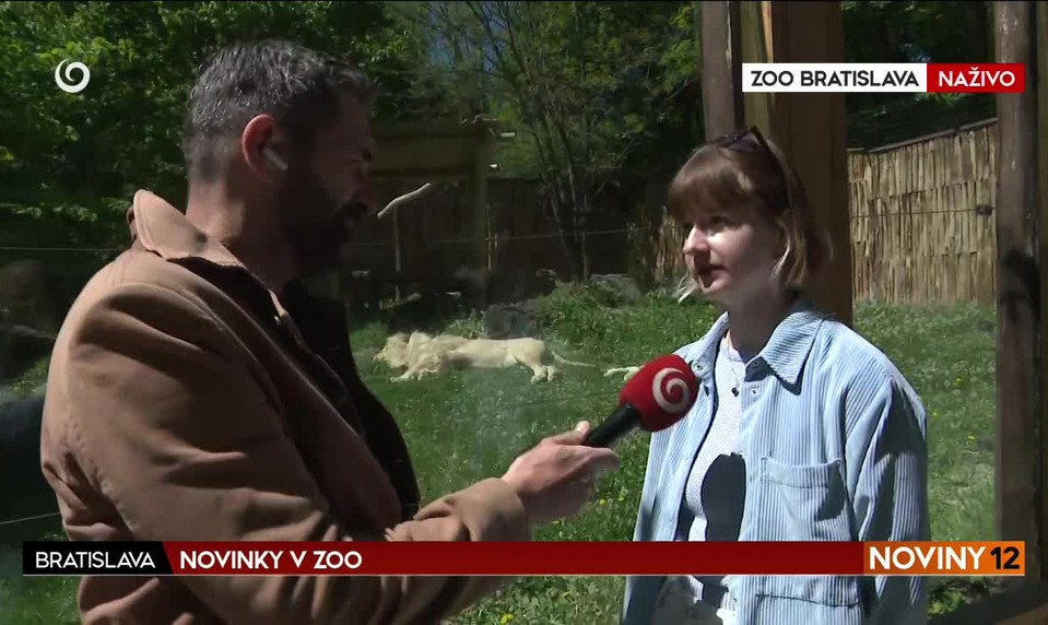 NOVINKY V ZOO