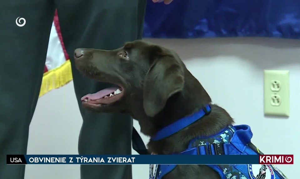 MATKA VRAHA Z VLAKU PREHOVORILA