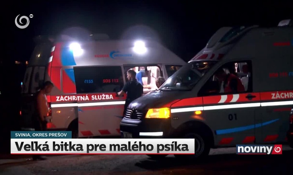 Veľká bitka pre malého psíka