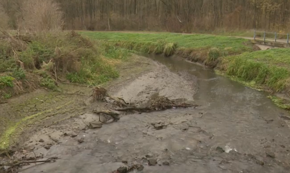 Rybári zachraňovali ryby po tom, ako vodohospodári znížili vodnú hladinu