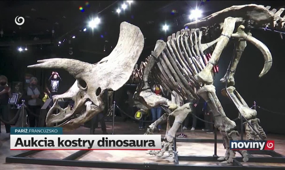 Aukcia kostry dinosaura