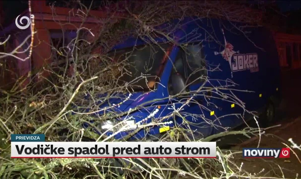 Vodičke spadol pred auto strom