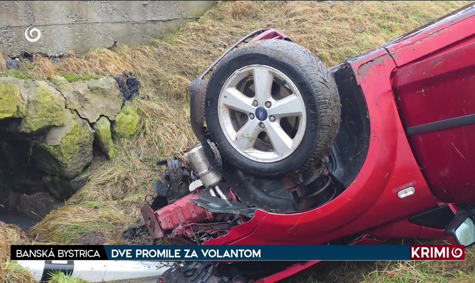 DVE PROMILE ZA VOLANTOM