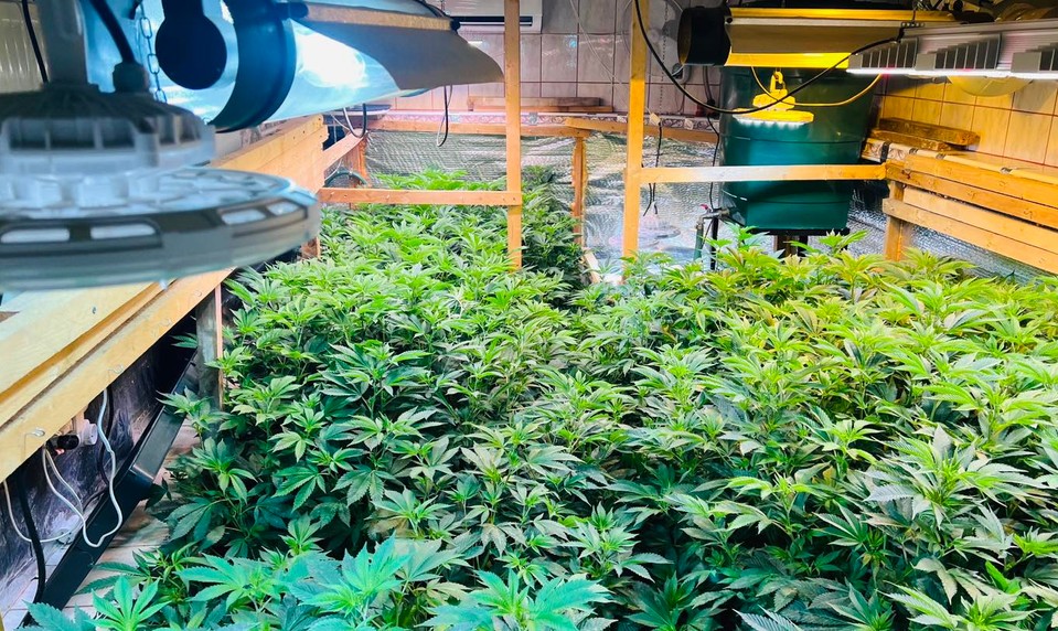 Kriminalisti odhalili v Pezinku marihuanové laboratórium. Počas akcie Kvetinár zadržali dve osoby