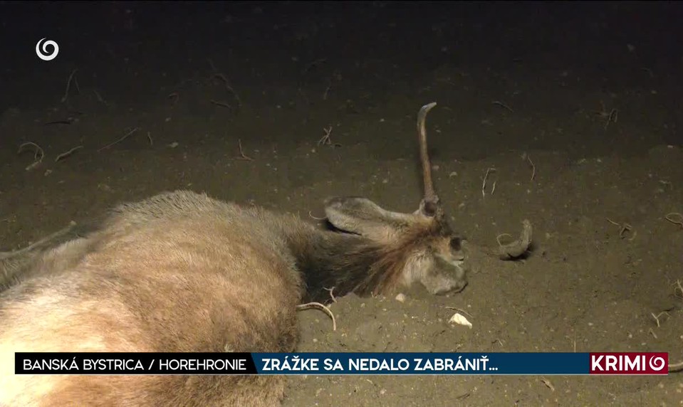 ZRÁŽKE SA NEDALO ZABRÁNIŤ...