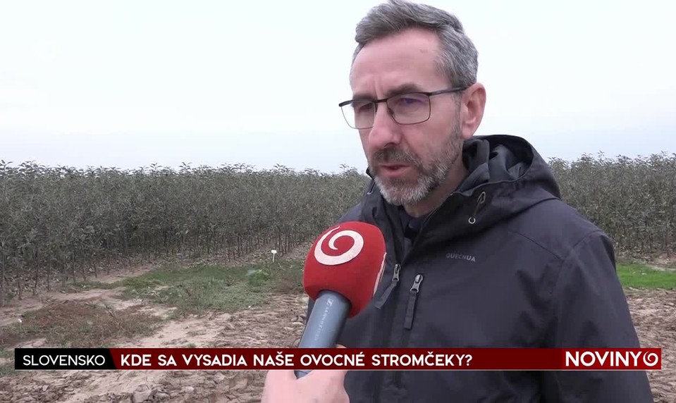 KDE SA VYSADIA NAŠE OVOCNÉ STROMČEKY?