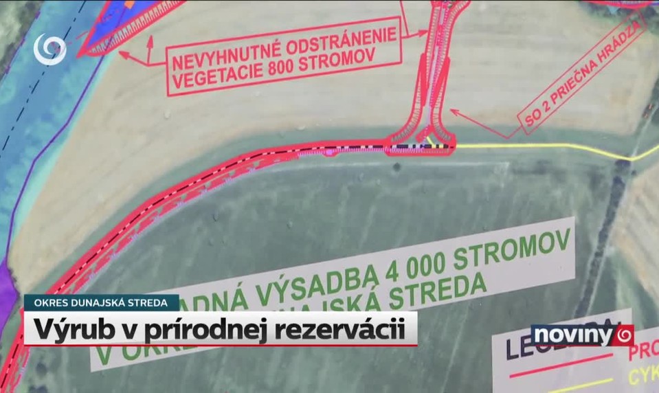 Výrub v prírodnej rezervácii