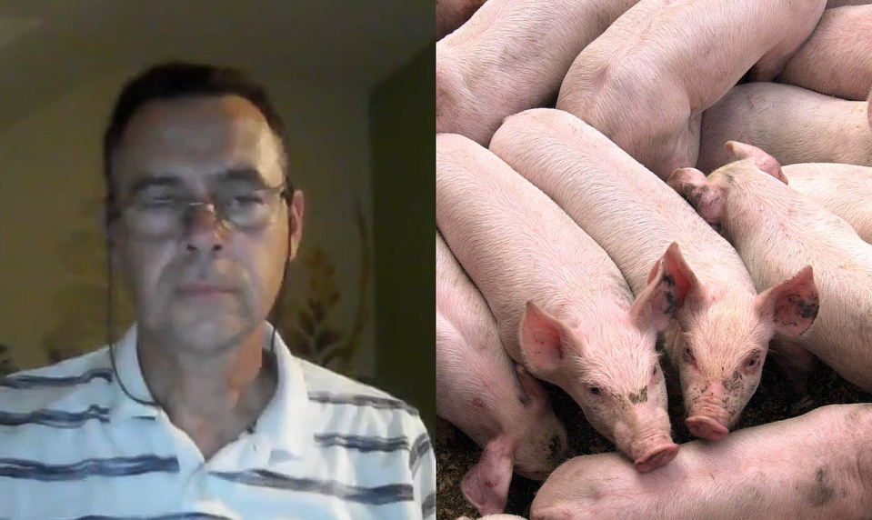 Štúdio 24: O chvíľu sa k slovenskému mäsu vôbec nemusíme dostať, varuje chovateľ ošípaných