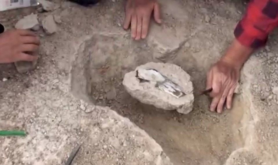 Veľké sucho, silný vietor a nebezpečné muchy. Aj tak vyzerá prvá dinosaurologická expedícia v histórii Slovenska