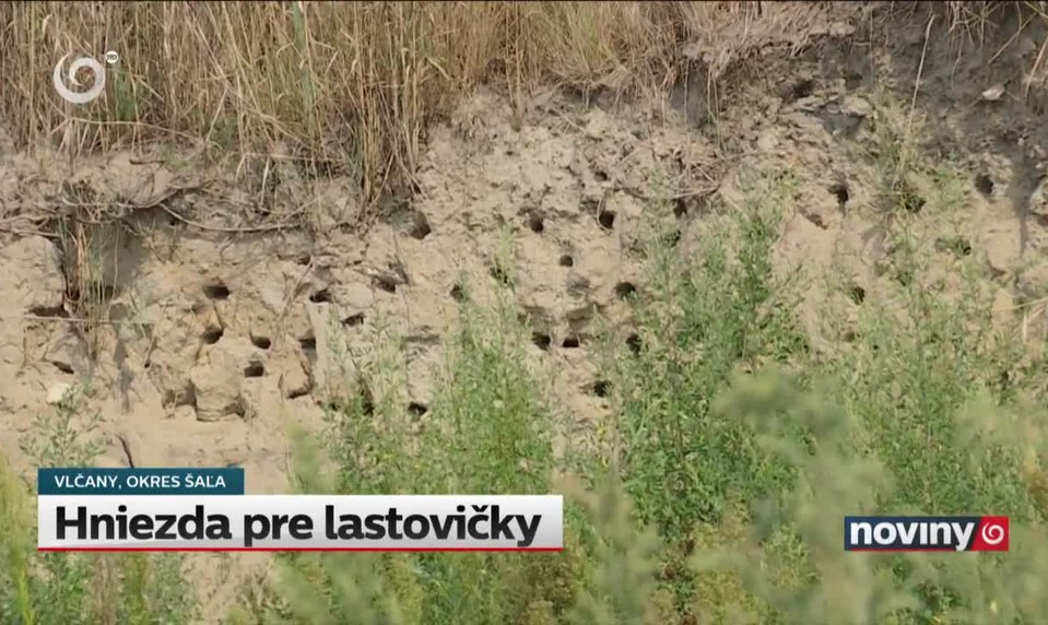 Hniezda pre lastovičky
