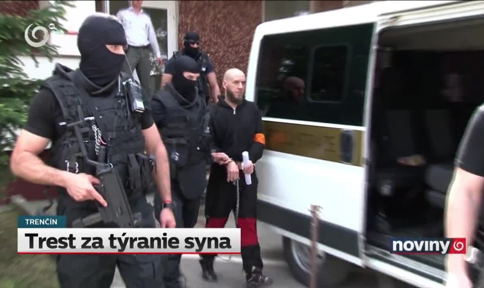 Trest za týranie syna