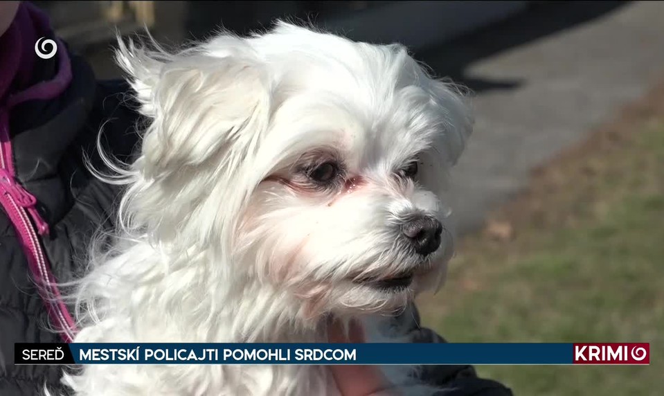 MESTSKÍ POLICAJTI POMOHLI SRDCOM