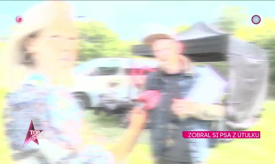 ZOBRAL SI PSA Z ÚTULKU