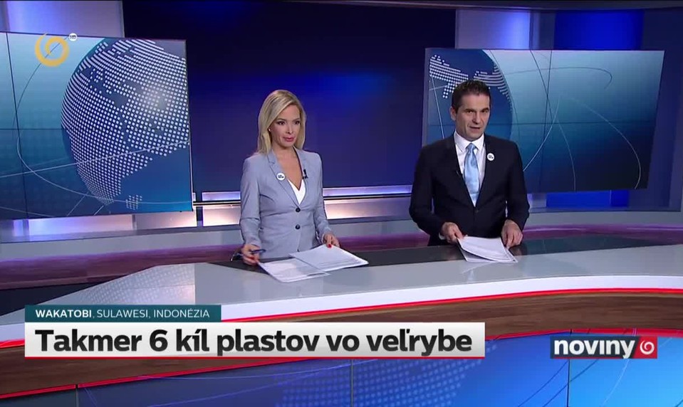 Takmer 6 kíl plastov vo veľrybe