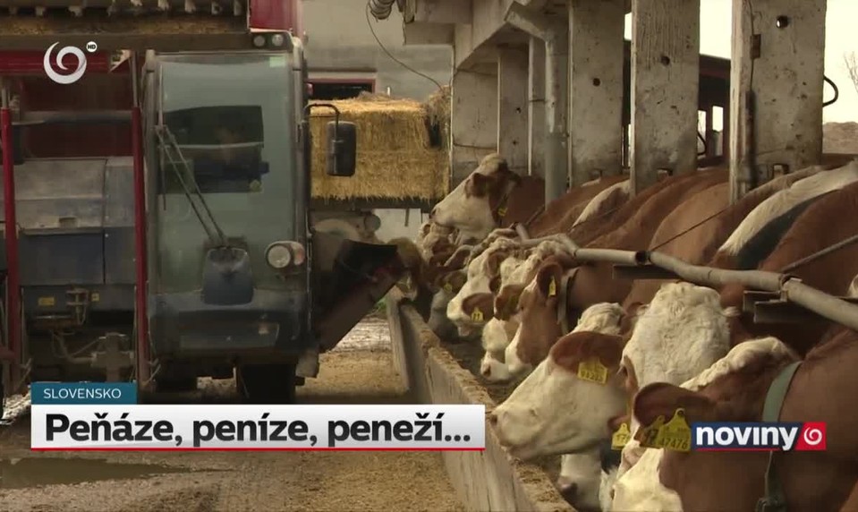 Peňáze, peníze, peneží...