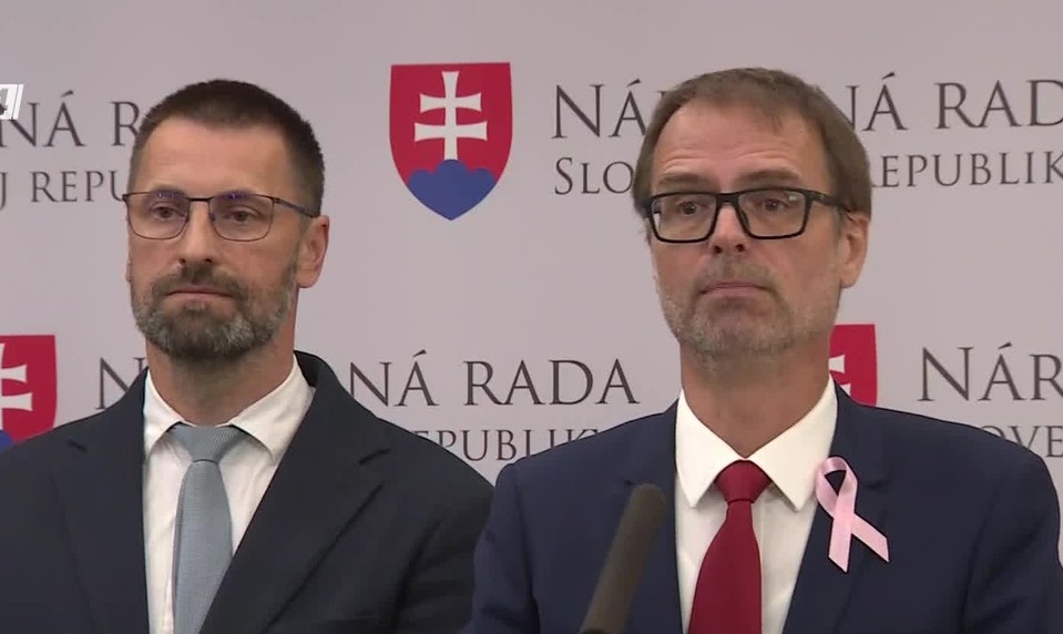 Tlačová beseda strany SaS: Výzva premiérovi a ministrovi