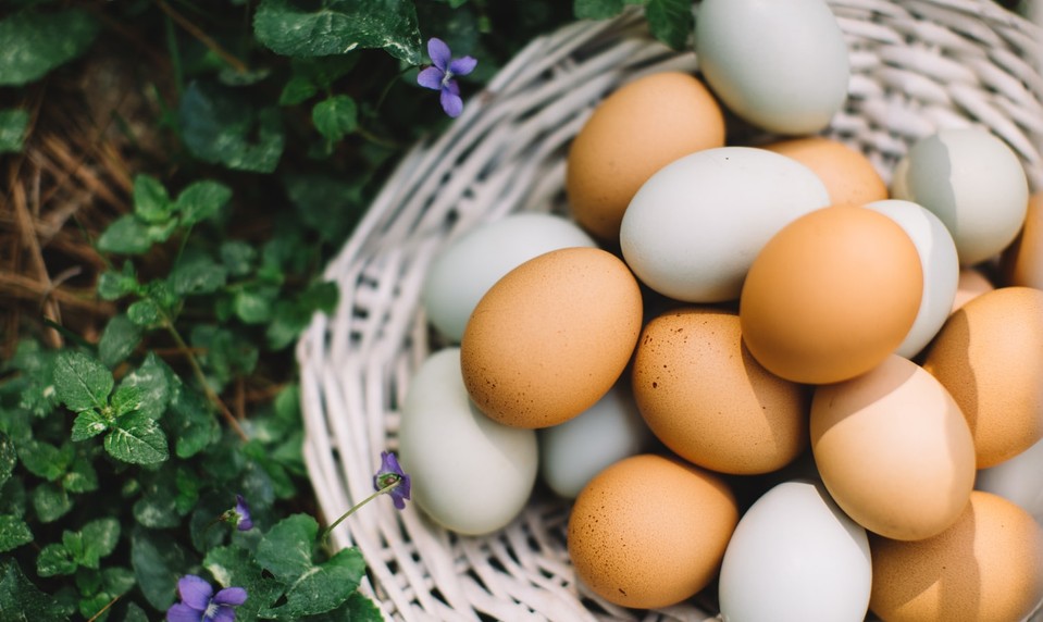 Nízkokalorické, zdravé pre srdce, mozog aj pre oči: Vajíčka sú superpotravina