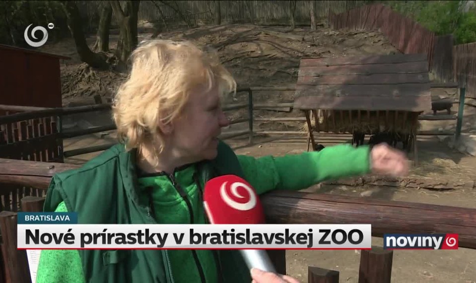 Nové prírastky v bratislavskej ZOO