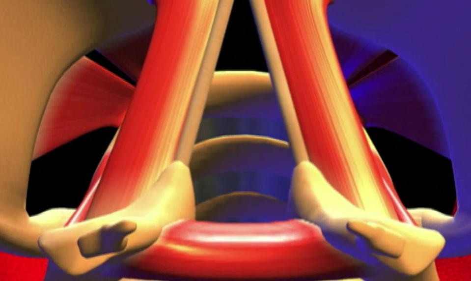 Stratili ste hlas? Toto je 13 dôvodov, prečo môžete byť zachrípnutí