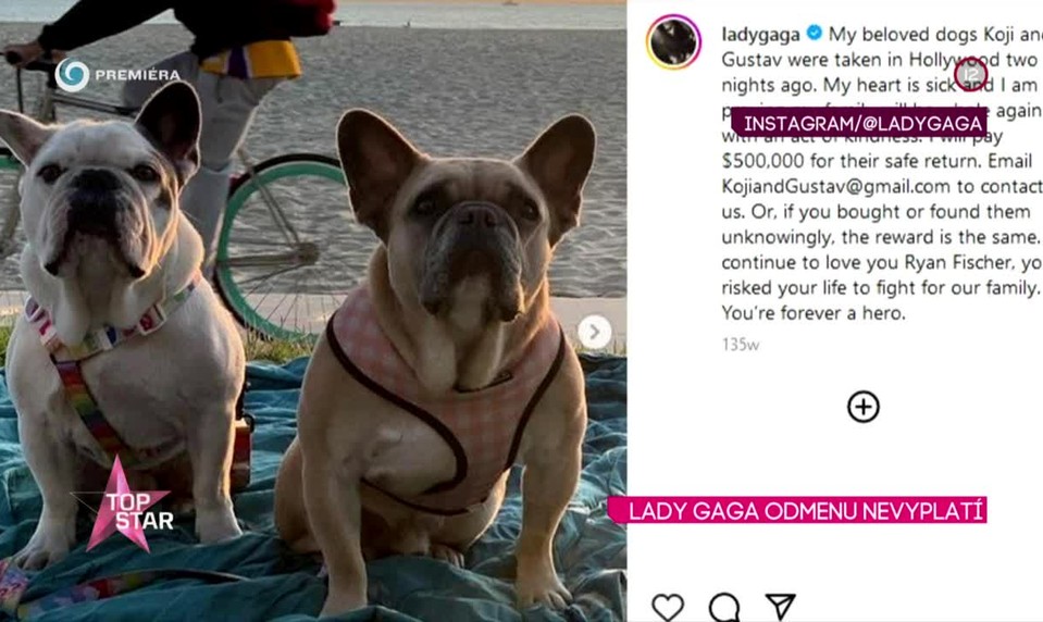 Lady Gaga odmenu nevyplatí