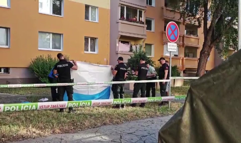 Matka našla syna s bodným poranením hrudníka. Oživovala ho až do príchodu záchranárov