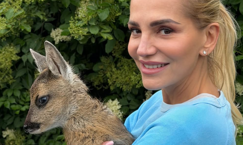 Veľké rozhodnutie Dary Rolins: Na celý rok mizne z pódií! Prezradila, čo ju k tomu viedlo