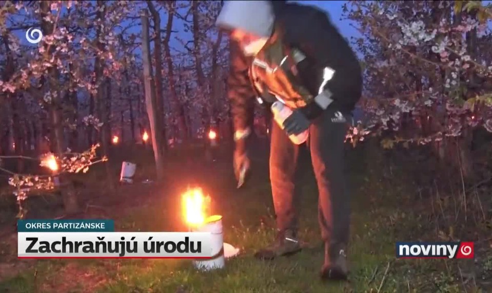 Zachraňujú úrodu