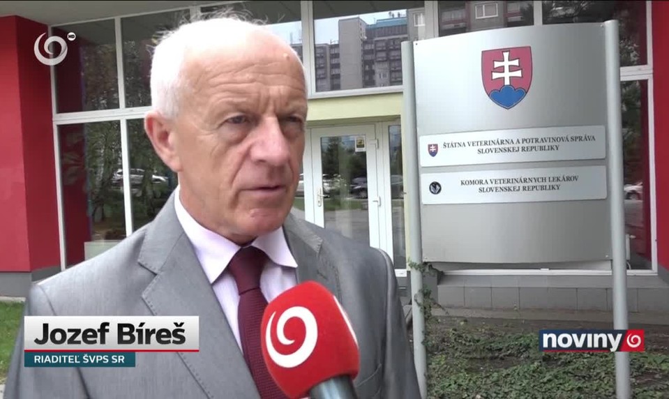"Adopciu" psov komplikujú čipy