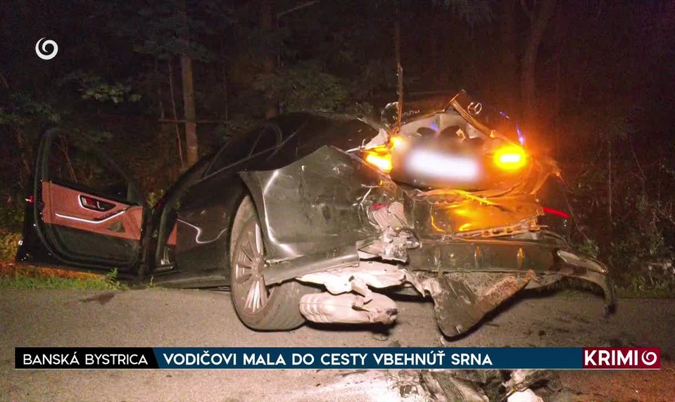 VODIČOVI MALA DO CESTY VBEHNÚŤ SRNA