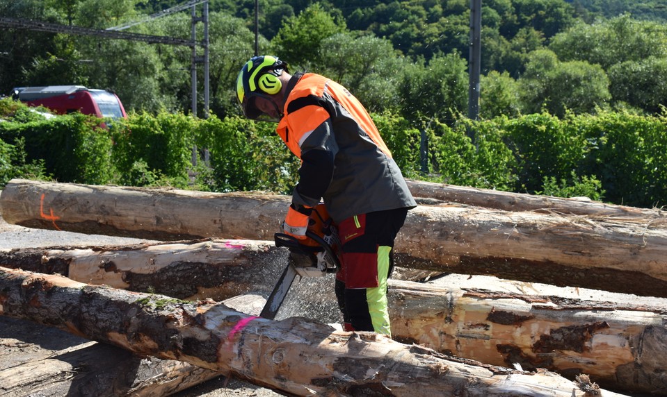 Lesného robotníka pri výrube zavalil kmeň stromu. Utrpel vážne zranenie